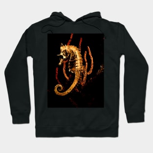 seahorse Hoodie